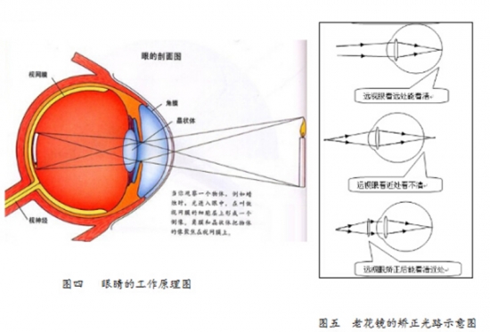 美麗島眼鏡：老花鏡不可隨意亂帶，需要在專(zhuān)業(yè)驗光后科學(xué)配制