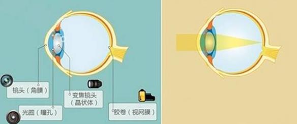怎么佩戴老花鏡？驗光 品牌 質(zhì)量 保養一個(gè)都不能少
