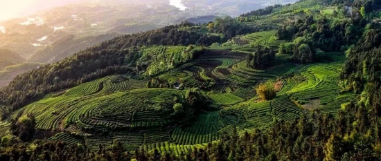 美麗島多焦鏡：這個(gè)明凈新春，以時(shí)間為軸，扶搖直上